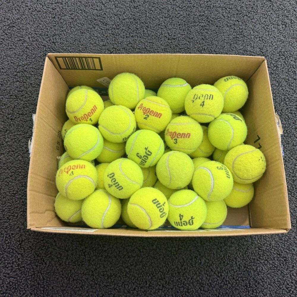 Penn Pro Penn Yellow Tennis Balls Bulk Lot Box Full of 40 Tennis Balls